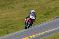 PJ-Motorsport-2019;anglesey-no-limits-trackday;anglesey-photographs;anglesey-trackday-photographs;enduro-digital-images;event-digital-images;eventdigitalimages;no-limits-trackdays;peter-wileman-photography;racing-digital-images;trac-mon;trackday-digital-images;trackday-photos;ty-croes